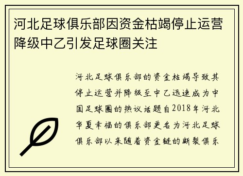 河北足球俱乐部因资金枯竭停止运营降级中乙引发足球圈关注